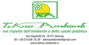 Logo Ansaldo CSI