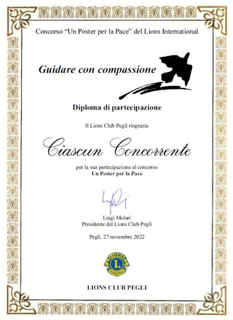 Diploma Partecipante