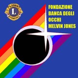 Logo Fondazione Banca degli Occhi Lions Melvin Jones