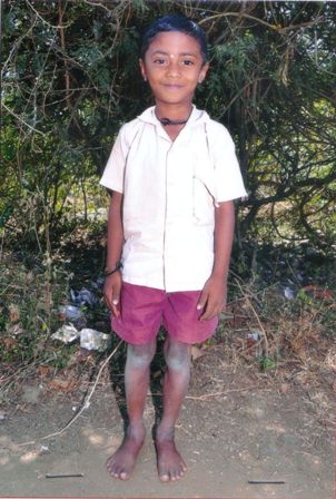 Foto di Sarathi