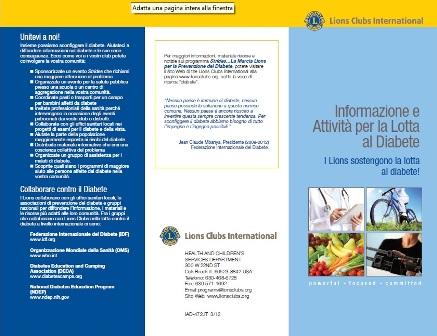 Brochure Diabete 2012