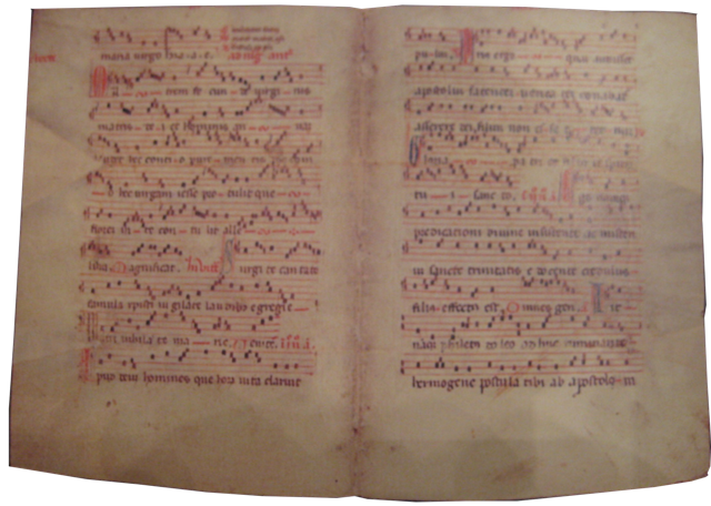 Pergamena