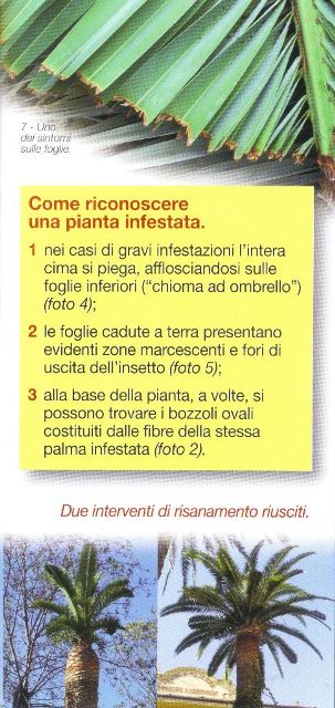 Conclusioni